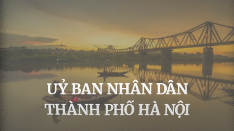 Hình ảnh minh họa cho phần giải đáp thắc mắc về cung 27 2 và hoa phù hợp với người đó